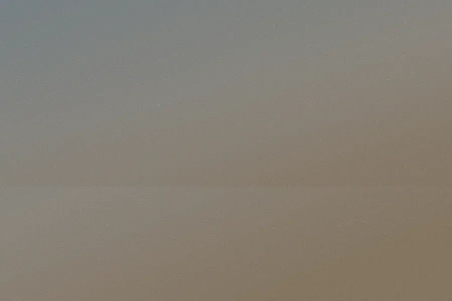 Coastal Morning, 2024. First light on the north shore, the fog just beginning to lift off the water.