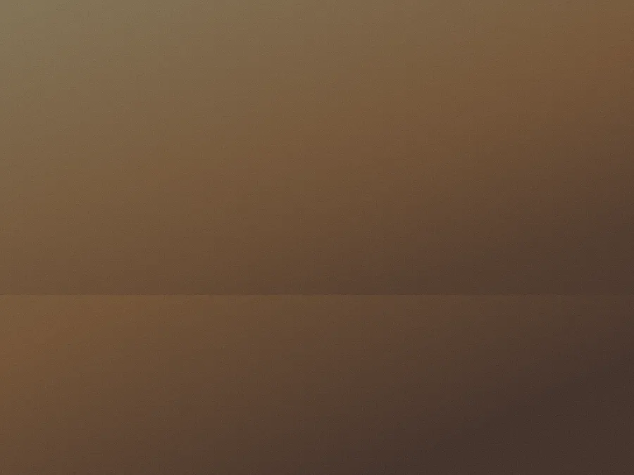 Field at Dusk, 2023. The last of the day going gold over open ground.